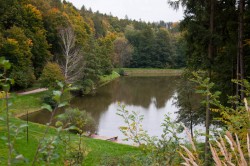 Pohled na rybník z přístupové komunikace