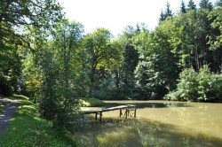 Pohled na Rybníček Obora od severu