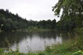 Pohled z hráze rybníku na vodní plochu - část je zarostlá vodní vegetací, především orobincem