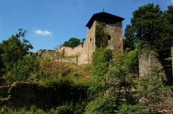 Celkový pohled na hrad z cesty vedoucí po obvodu hradního příkopu