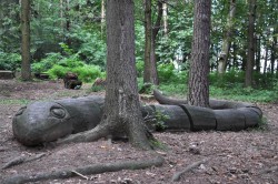 Dřevěný had v lese