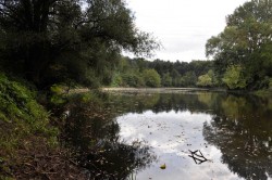 Tůň u Kostelan - slepé rameno řeky Moravy