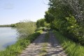 Přístupová cesta rozdělující Velký Choryňský rybník a Choryňský mokřad