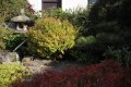 Detail části japonské zahrady