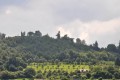 Pohled na rozhlednu směrem od východu ze žluté turistické trasy vedoucí z Jarcové do Valašského Meziříčí